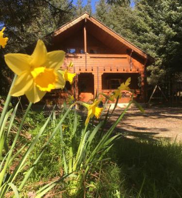 Ballyconnell Ski Chalet | Bernard’s Logcabins