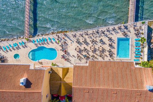 Dunedin Apartment | Beso del Sol Resort in Dunedin - Perfect Location & Relaxation!