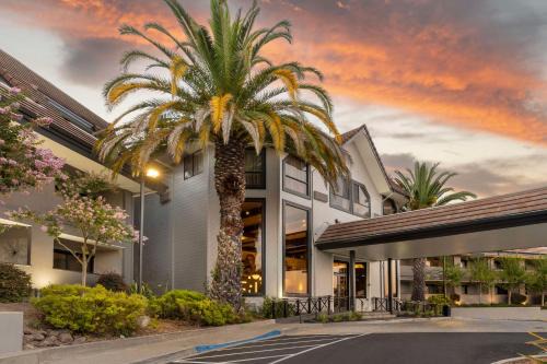 Novato Hotel | Best Western Plus Novato Oaks Inn