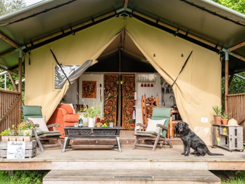 Motcombe Other | Black Pig Retreats Luxury Glamping