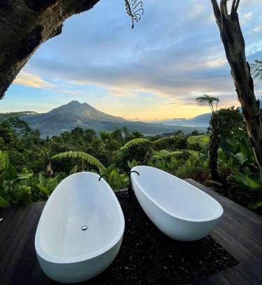 Kintamani Hotel | Black Wood Cabin