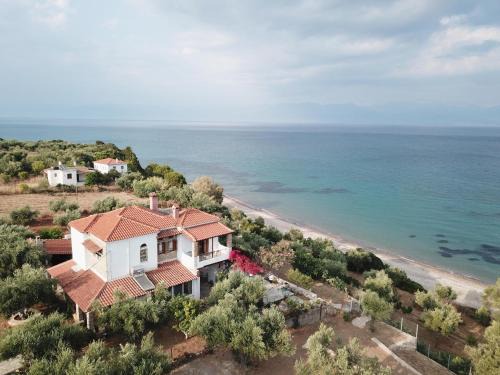 Aipeia House | Blue Fox 1