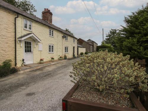 Shelve House | Bluebell's Cottage