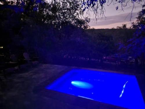 Bela-Bela House | Boomhuis, Mabalingwe Nature Reserve