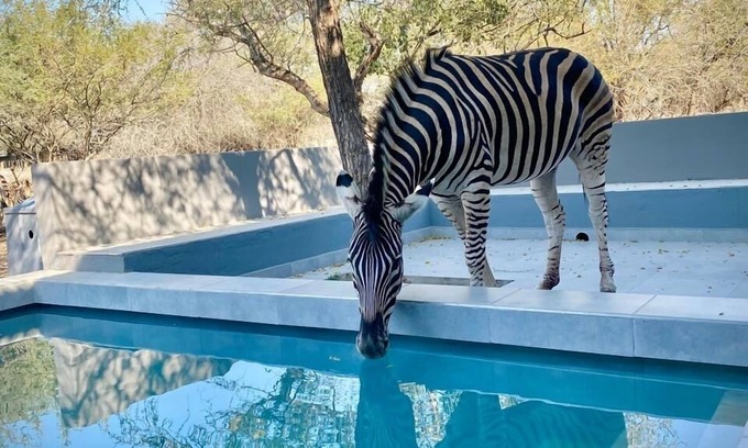 Marloth Park Cabin | Bordering Kruger National Park, this modern and spacious 3 bedroom lodge awaits