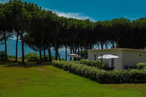 Boscotrecase Bed & Breakfast | Bosco Mattavona