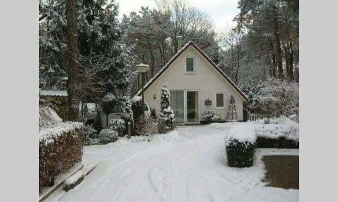 Zuidwolde House | Boshuisje nabij het Reestdal