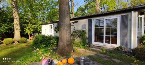 Municipality of Wageningen House | Boshuisje