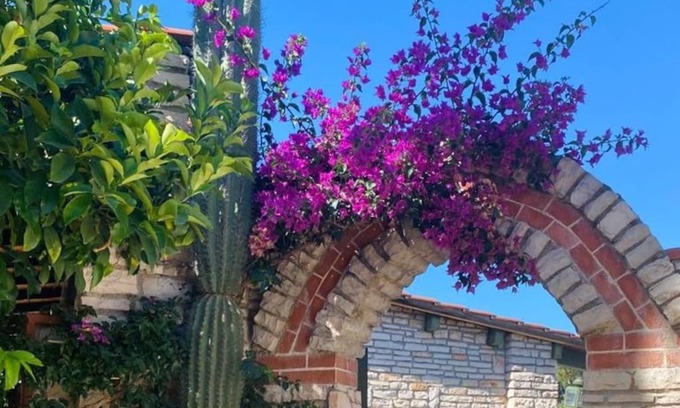 Bisceglie Apartment | Bouganvillea Pool & Sea