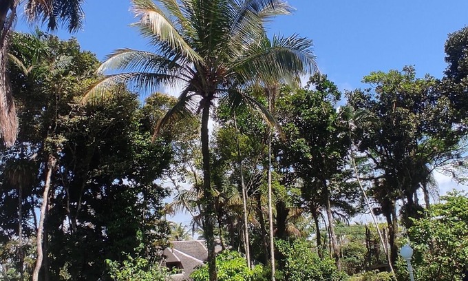 Balneario Praia do Pernambuco House | Single storey house with private pool, barbecue and nature. Close to the beach!