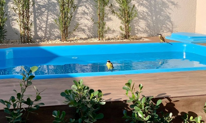 Foz do Iguacu House | Brand new beautiful house with swimming pool in central Foz