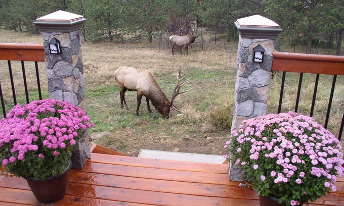 Stanley Hills House | Breath Taking Mountain Views #3039