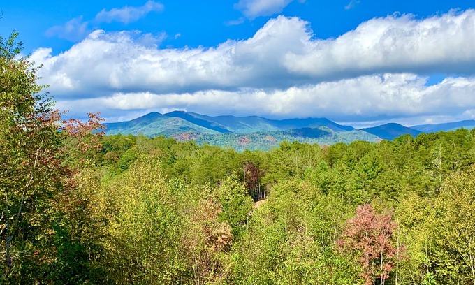 Asheville House | Breathtaking Mountain View, Convenient Location, Dog Friendly, A