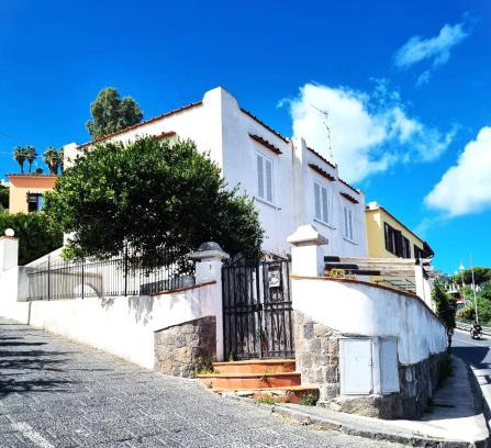 Lacco Ameno Apartment | Brecchembè - Holiday Home in the center of Lacco Ameno