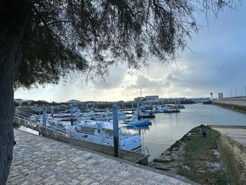 La Cotiniere Other | Bungalow île D'oleron