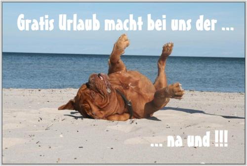 Bakenberg House | Bungalow WALD & SAND direkt am Strand