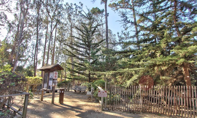 Pacific Grove Hotel | Butterfly Grove Inn