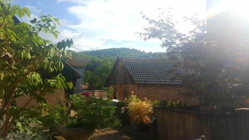 Munster Apartment | "Côté nature", appartement cosy au cœur de Munster