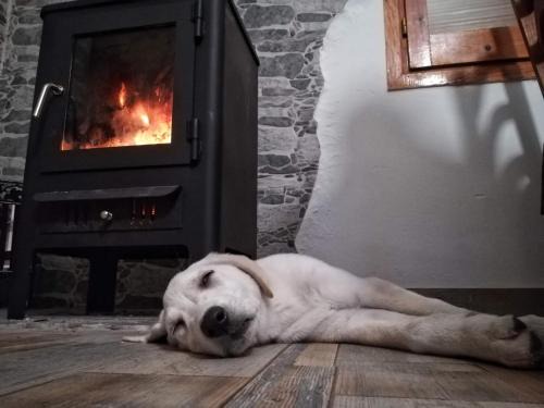 Vallgorguina House | Ca la Nena Morena - Refugio cálido con chimenea y vistas al Montseny
