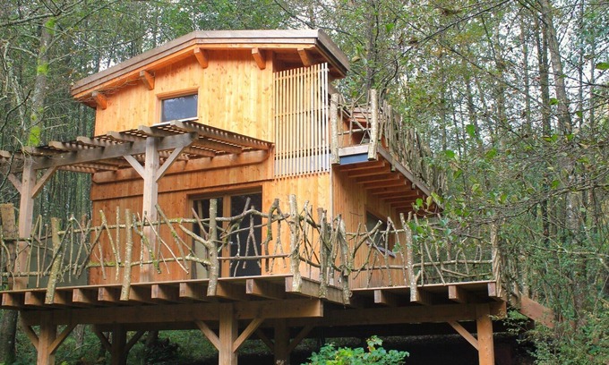 Saint-Nabord Ski Chalet | Cabane le cèpe with Scandinavian bath, ponds and panoramic view