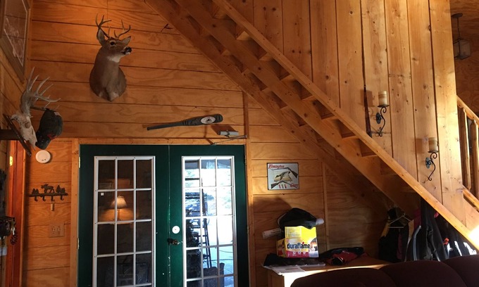 Cadillac Cabin | Cabin Hidden/Surrounded By Hundreds Of 30'+ Blue Spruce Pines !