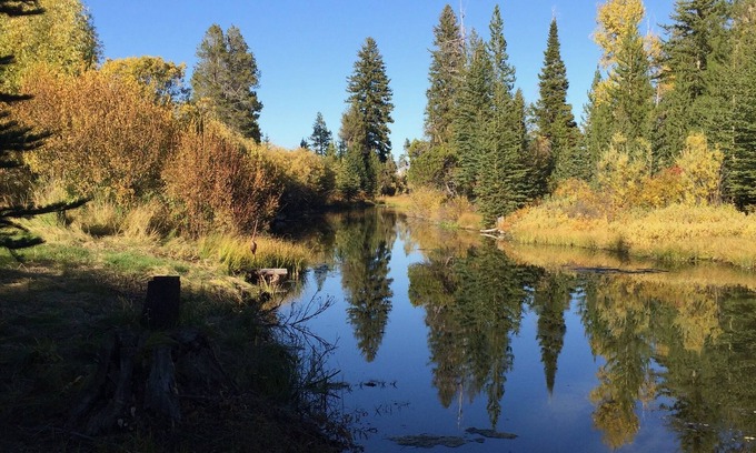 Moose Wilson Road Cabin | Cabin On Historic Guest Ranch. Private! Fishing! Secluded!