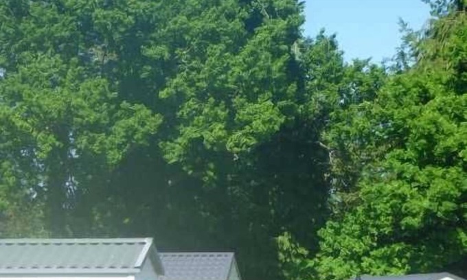 Merdrignac House | Camping 3 étoiles - Piscine - eehaf0