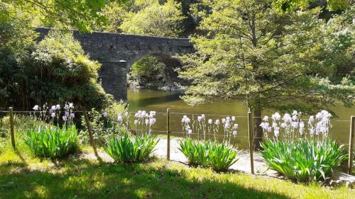Cocures Other | Camping Chantemerle