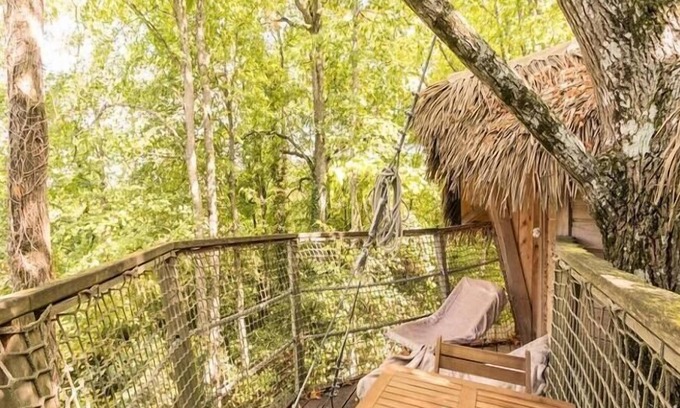 Ingrandes House | Campsite Le Petit Trianon**** - Perched Cabin 2 Rooms 2 People