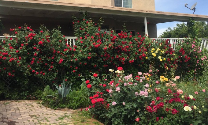 Canyon Lake House | Canyon Lake CA gated City CozyTwo bedroom ,two bath Home with beautiful garden
