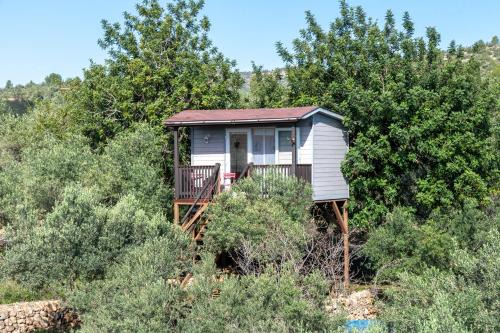 Camarles House | Casa Arbol