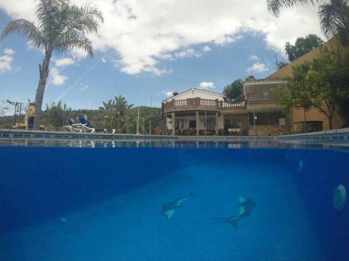 Guaro House | Casa Atalaya