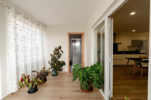 Vila Real House | Casa da adega