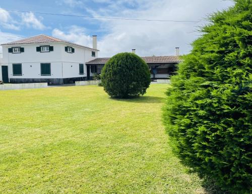 Faja de Baixo House | Casa da Fajã