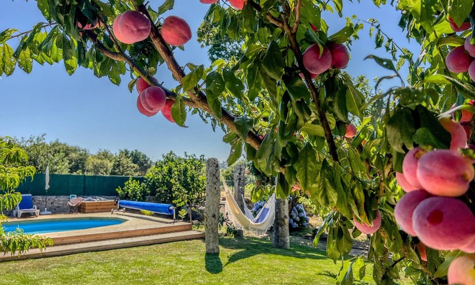Perre Villa | Casa de Perre – Rustic house with pool and orchard