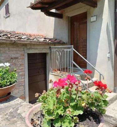 Castiglion Fiorentino Apartment | Casa dell Ulivo