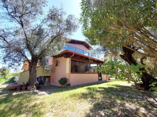 Iglesias Historic Centre Apartment | Casa L' Antico Ulivo