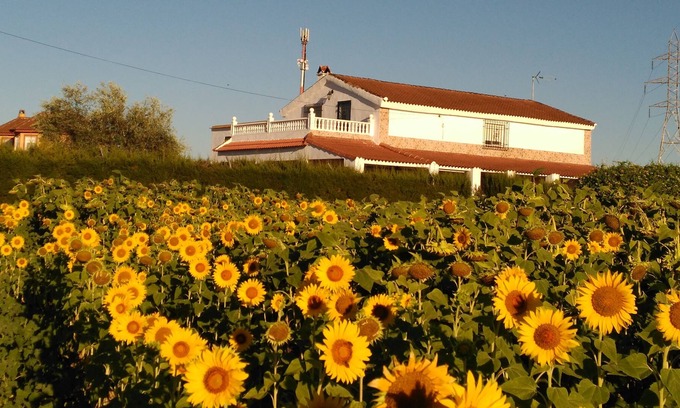 Cordoba House | CASA LOS GIRASOLES Magnificent house to enjoy a great vacation