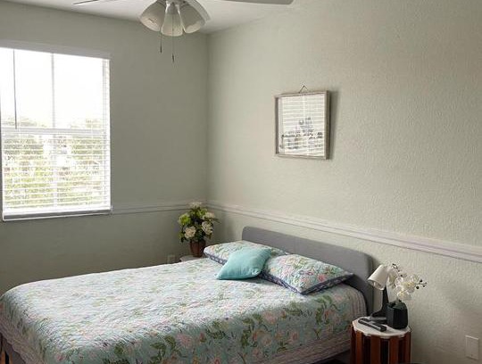 Tamiami House | Casa Miami 3