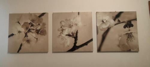 San Fermo della Battaglia House | Casa Mina