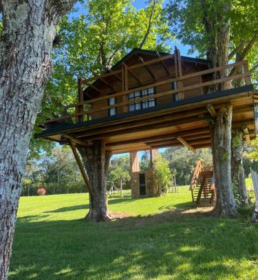 Restinga Ski Chalet | Casa na Árvore