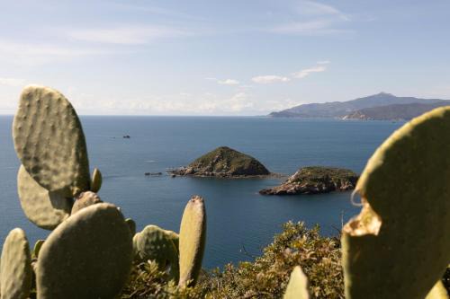 Innamorata House | Casa Natura & Relax - HelloElba