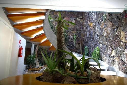 Puebla House | Casa O - Tu Hogar Boutique en Puebla con 6 Recámaras y Terraza Privada