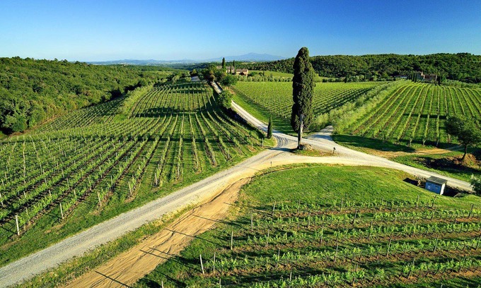 Castelnuovo Berardenga Apartment | Casa Rossella - ArcenoRentalsClub Romantic flat in Chianti Wifi Concierge Pool