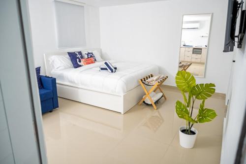 Levittown House | Casa Toñita