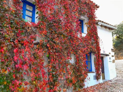 El Collado House | Casita Collado 1