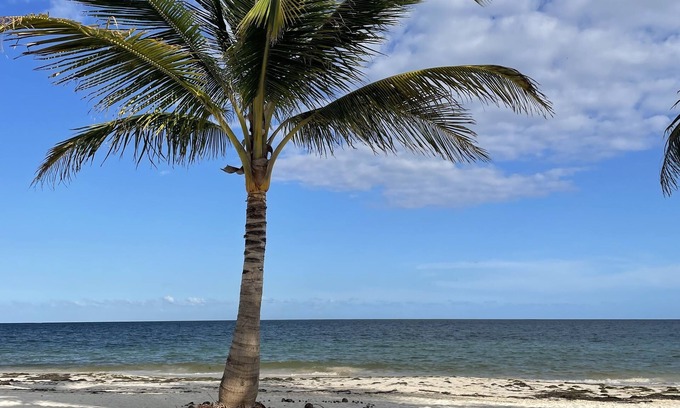 Puerto Morelos Villa | Casita KinHa Garden Suite - Oceanfront