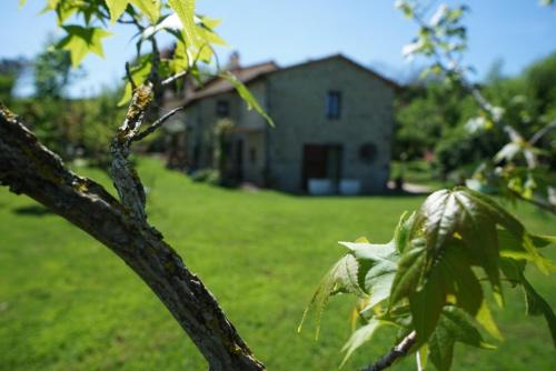 Abbadia San Salvatore Bed & Breakfast | CASTAGNA DULCIS