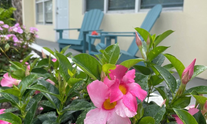 Rock Ridge House | Centrally located, recently renovated, beach-themed delight; 4-min to the beach!