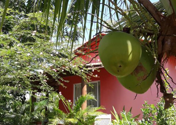 Serra Grande House | Chale da Lu